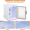 Garvee 25 L Reptile Incubator for Hatching Eggs - Portable Scientific Laboratory Incubator, Temperature Controlled 10� - - 60� - for Small Reptiles, Cooling and Heating Digital Incubator, 12V/110V Black