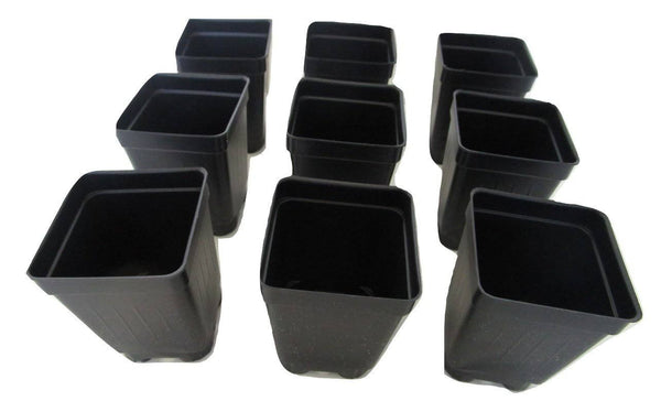 Landmark 2.5 inch Square Deep Nursery Pots - 50 Qty, Black